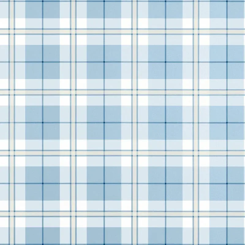 T44075 | Douglas Plaid - Light Blue