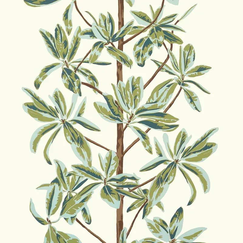T45034 | Mangrove Tree - Sage