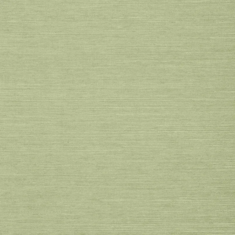 T5016 | Shang Extra Fine Sisal - Willow