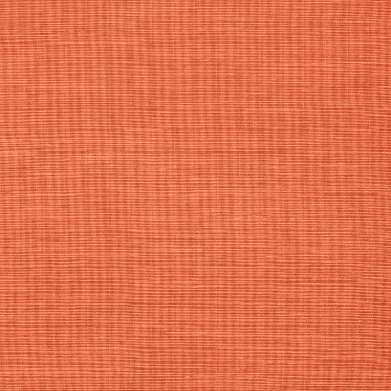 T5017 | Shang Extra Fine Sisal - Apricot