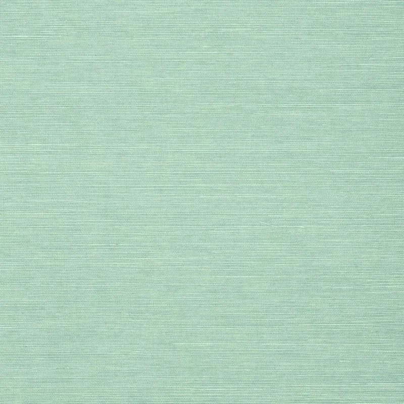 T5020 | Shang Extra Fine Sisal - Aqua
