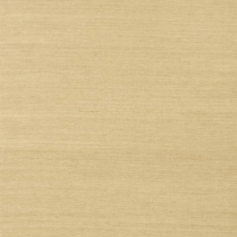 T5031 | Shang Extra Fine Sisal - Taupe
