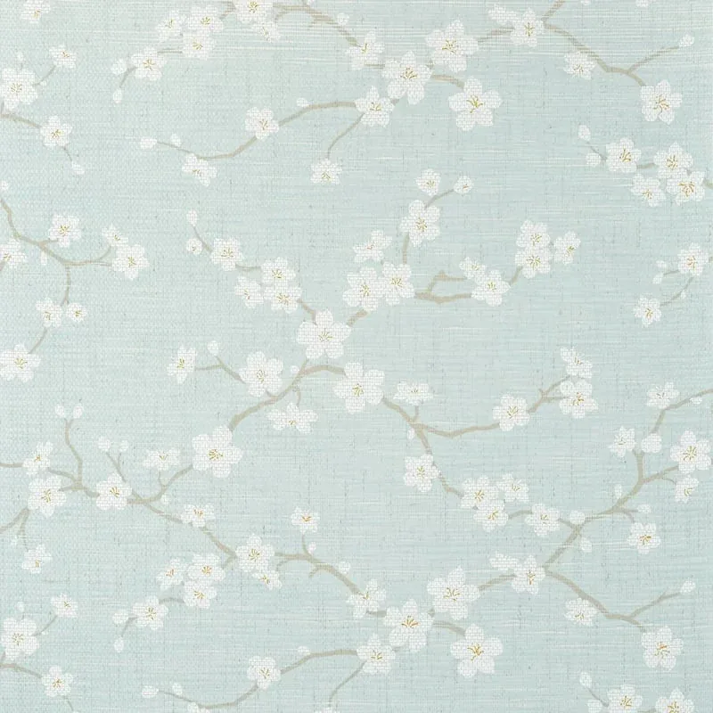 T75516 | Sakura – Aqua