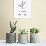 A-Street Prints Agave Bliss Light Yellow Faux Grasscloth Wallpaper - SKU 2901-24280