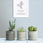A-Street Prints Agave Bliss Sky Blue Faux Grasscloth Wallpaper - SKU 2901-24283