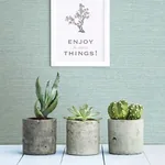 A-Street Prints Agave Bliss Teal Faux Grasscloth Wallpaper - SKU 2901-24282