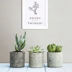 A-Street Prints Agave Light Grey Faux Grasscloth Wallpaper | Wallpaper Twins A-Street Prints Agave Light Grey Faux Grasscloth Wallpaper - SKU 2902-24278