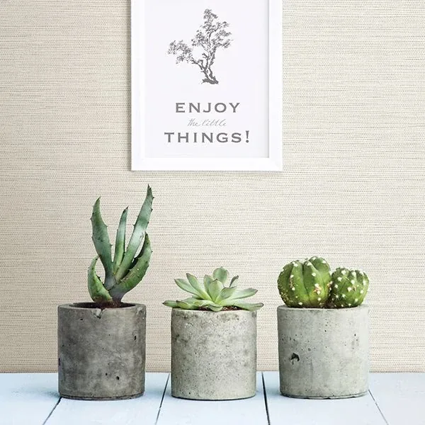 A-Street Prints Agave Off White Faux Grasscloth Wallpaper | Wallpaper Twins A-Street Prints Agave Off White Faux Grasscloth Wallpaper - SKU 2902-24281