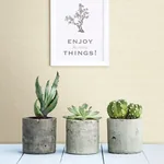 A-Street Prints Agave Yellow Faux Grasscloth Wallpaper | Wallpaper Twins A-Street Prints Agave Yellow Faux Grasscloth Wallpaper - SKU 2902-24280