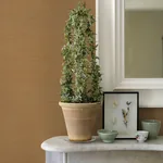 A-Street Prints Aiko Orange Sisal Grasscloth Wallpaper - SKU 2972-86121