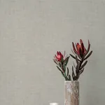 A-Street Prints Alba Beige Open Weave Wallpaper | Wallpaper Twins A-Street Prints Alba Beige Open Weave Wallpaper - SKU 4193-7403