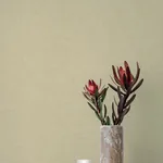 A-Street Prints Alba Cream Open Weave Wallpaper - SKU 4193-7404