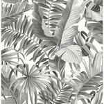 A-Street Prints Alfresco Black Palm Leaf Wallpaper | Wallpaper Twins A-Street Prints Alfresco Black Palm Leaf Wallpaper - SKU 2744-24134