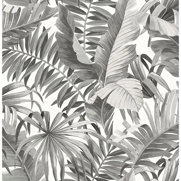 2744-24134 | Alfresco Black Palm Leaf Wallpaper