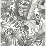 A-Street Prints Alfresco Grey Tropical Palm Wallpaper | Wallpaper Twins A-Street Prints Alfresco Grey Tropical Palm Wallpaper - SKU 2969-24134
