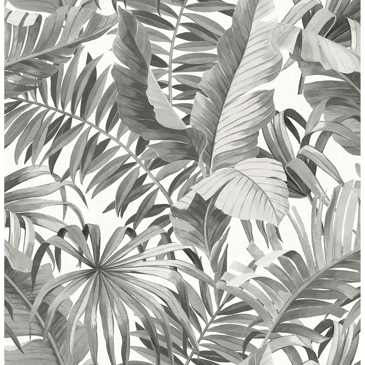 2969-24134 | Alfresco Grey Tropical Palm Wallpaper