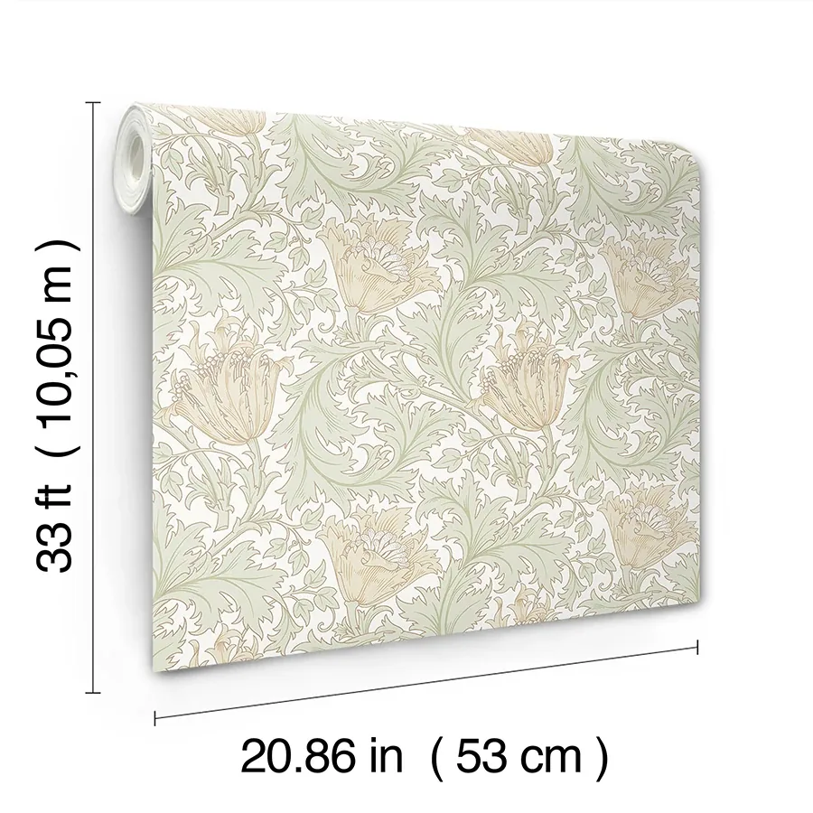 A-Street Prints Anemone Light Green Floral Trail Wallpaper | Wallpaper Twins A-Street Prints Anemone Light Green Floral Trail Wallpaper - SKU 4153-82002