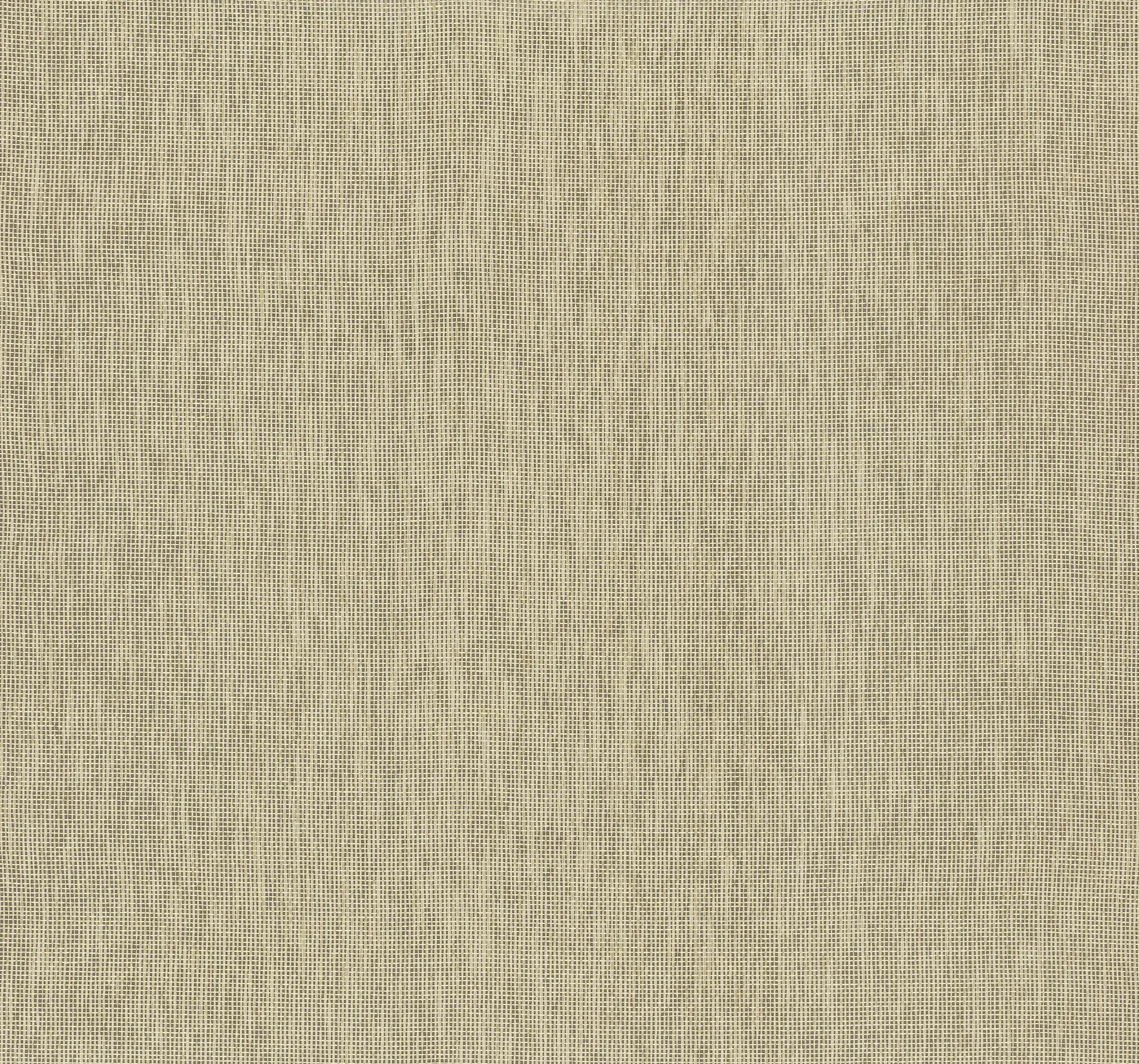 2923-88009AST | Annchi Grey Woven Wallpaper