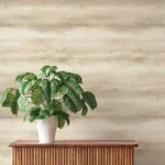 A-Street Prints Ayla Neutral Abstract Stripe Wallpaper - SKU 4202-481679