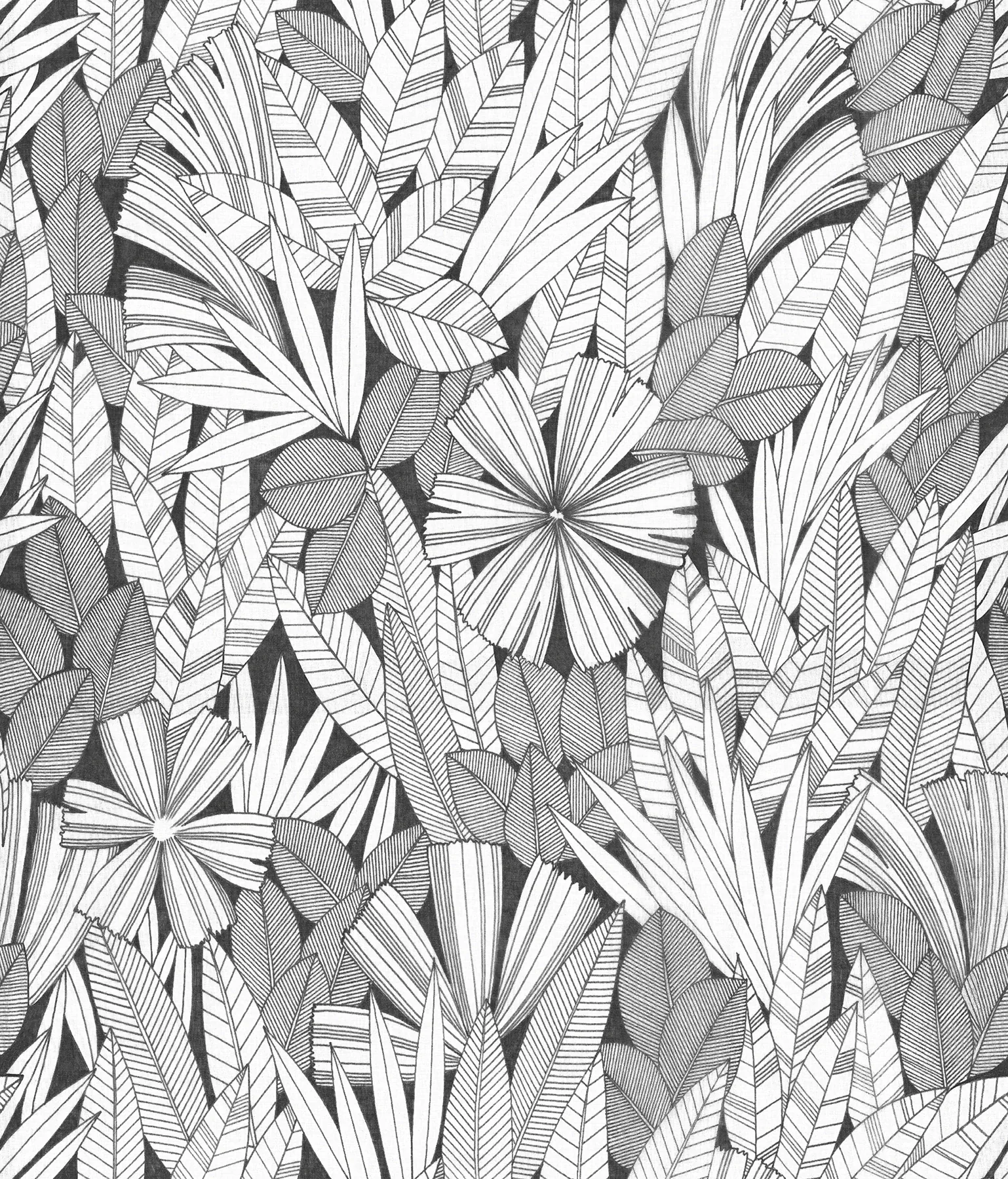 A-Street Prints Bannon Black Leaves Wallpaper - SKU 4081-26346