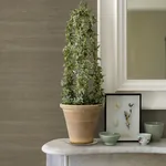 A-Street Prints Battan Olive Jute Grasscloth Wallpaper - SKU 2972-65655