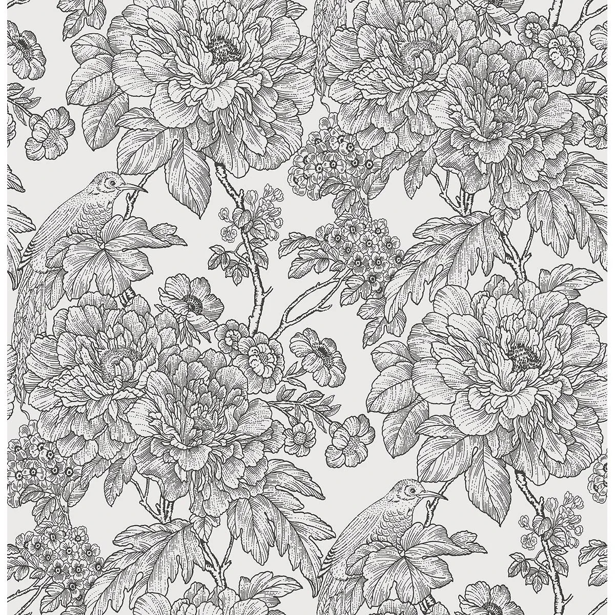 A-Street Prints Birds of Paradise Breeze Black Floral Wallpaper - SKU 2901-25414