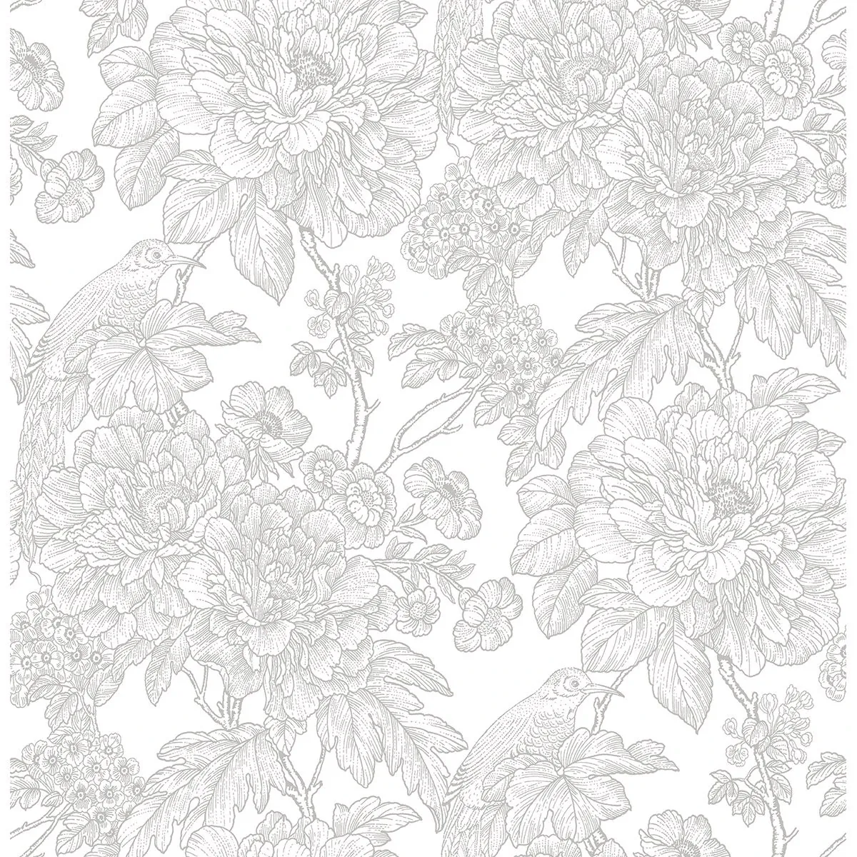 2901-25412 | Birds of Paradise Breeze Grey Floral Wallpaper