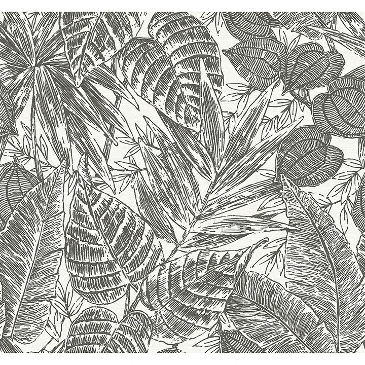 4034-72115 | Brentwood Black Palm Leaves Wallpaper
