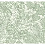 A-Street Prints Brentwood Green Palm Leaves Wallpaper - SKU 4034-72116