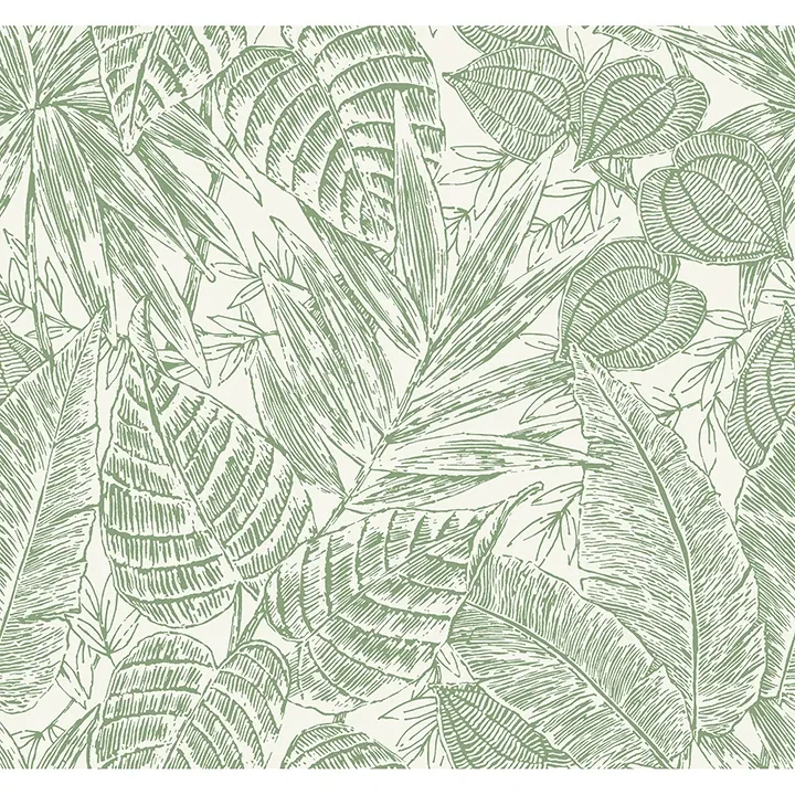 4034-72116 | Brentwood Green Palm Leaves Wallpaper