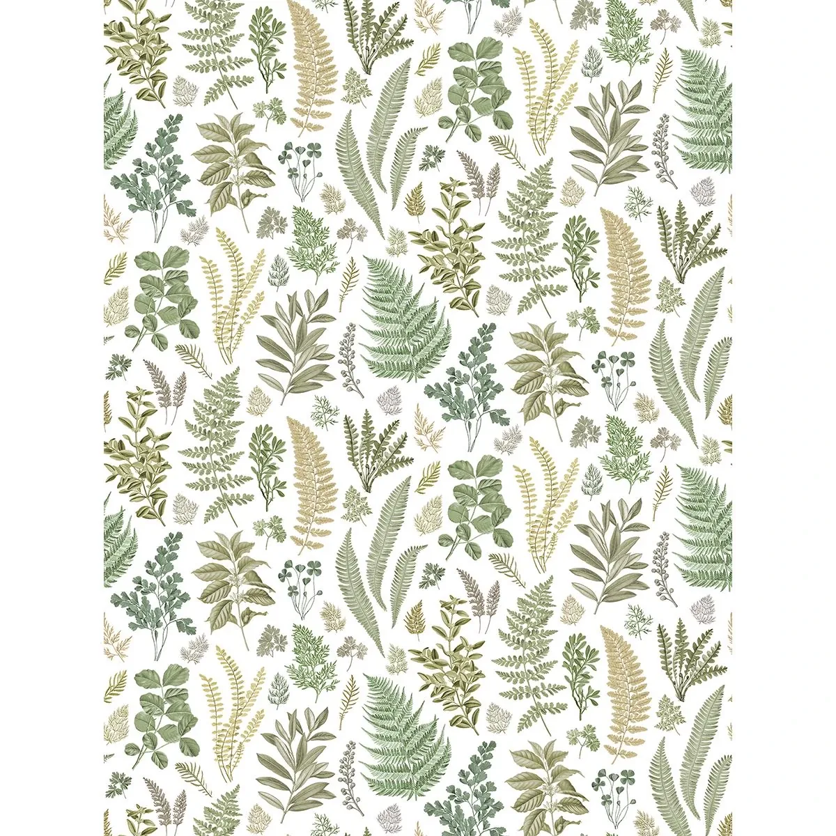 2821-SM25155 | Britta Green Herbs Wall Mural