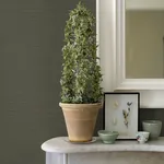 A-Street Prints Caihon Green Sisal Grasscloth Wallpaper - SKU 2972-86120