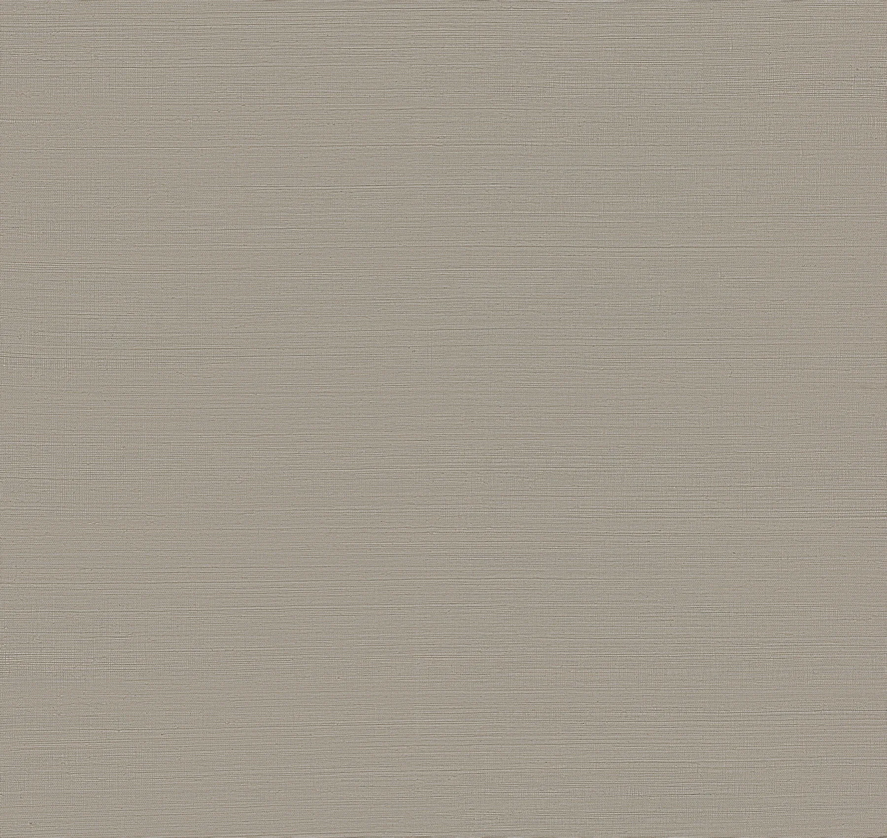 2923-86116 | Caihon Silver Sisal Grasscloth Wallpaper