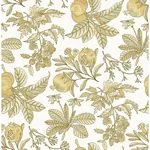 A-Street Prints Cecilia Honey Fruit Wallpaper | Wallpaper Twins A-Street Prints Cecilia Honey Fruit Wallpaper - SKU 4120-26813