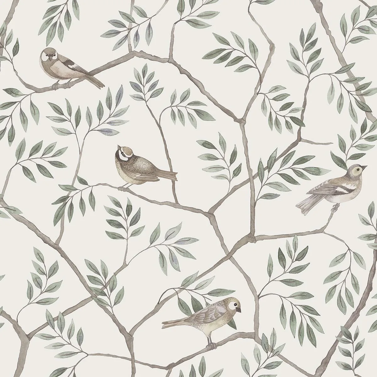 2948-27015 | Crossbill Off White Branches Wallpaper