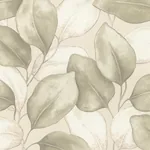 A-Street Prints Evanthe Sage Vine Wallpaper - SKU 4202-659870