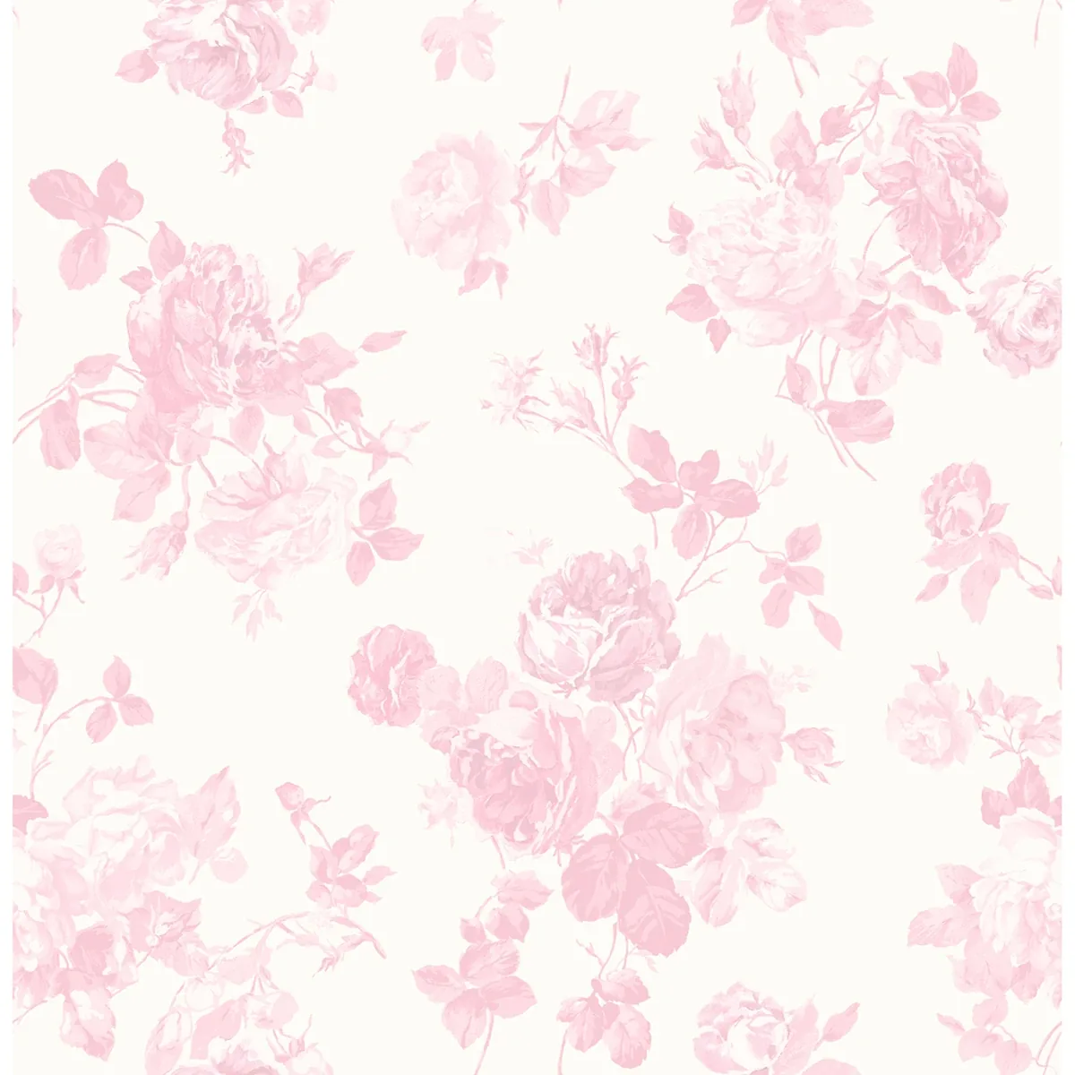 AST4101 | Everblooming Rosettes Pink Jam Cabbage Rose Bouquets Wallpaper