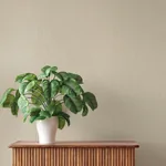 A-Street Prints Ewan Beige Textured Stripe Wallpaper - SKU 4202-537635