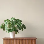 A-Street Prints Ewan Bone Textured Stripe Wallpaper - SKU 4202-537628