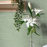 A-Street Prints Exhale Light Green Texture Wallpaper - SKU 4143-26457