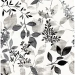 A-Street Prints Gossamer Black Botanical Wallpaper - SKU 2716-23866