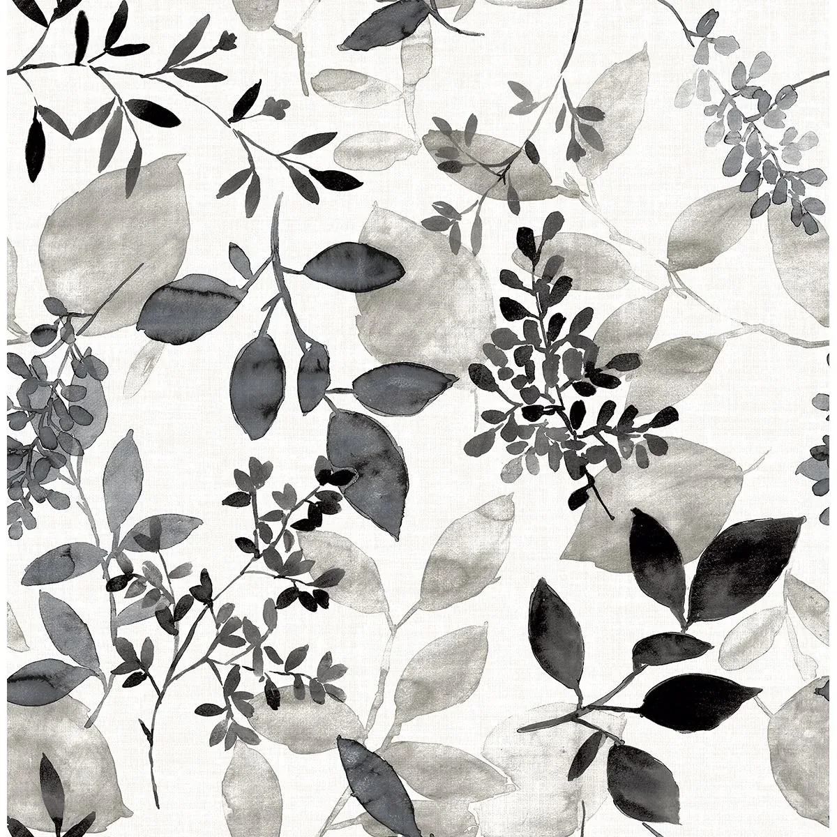 2716-23866 | Gossamer Black Botanical Wallpaper