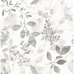 A-Street Prints Gossamer Grey Botanical Wallpaper | Wallpaper Twins A-Street Prints Gossamer Grey Botanical Wallpaper - SKU 2716-23867