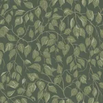 A-Street Prints Hängbjörk Evergreen Vine Wallpaper | Wallpaper Twins A-Street Prints Hängbjörk Evergreen Vine Wallpaper - SKU 4201-20108