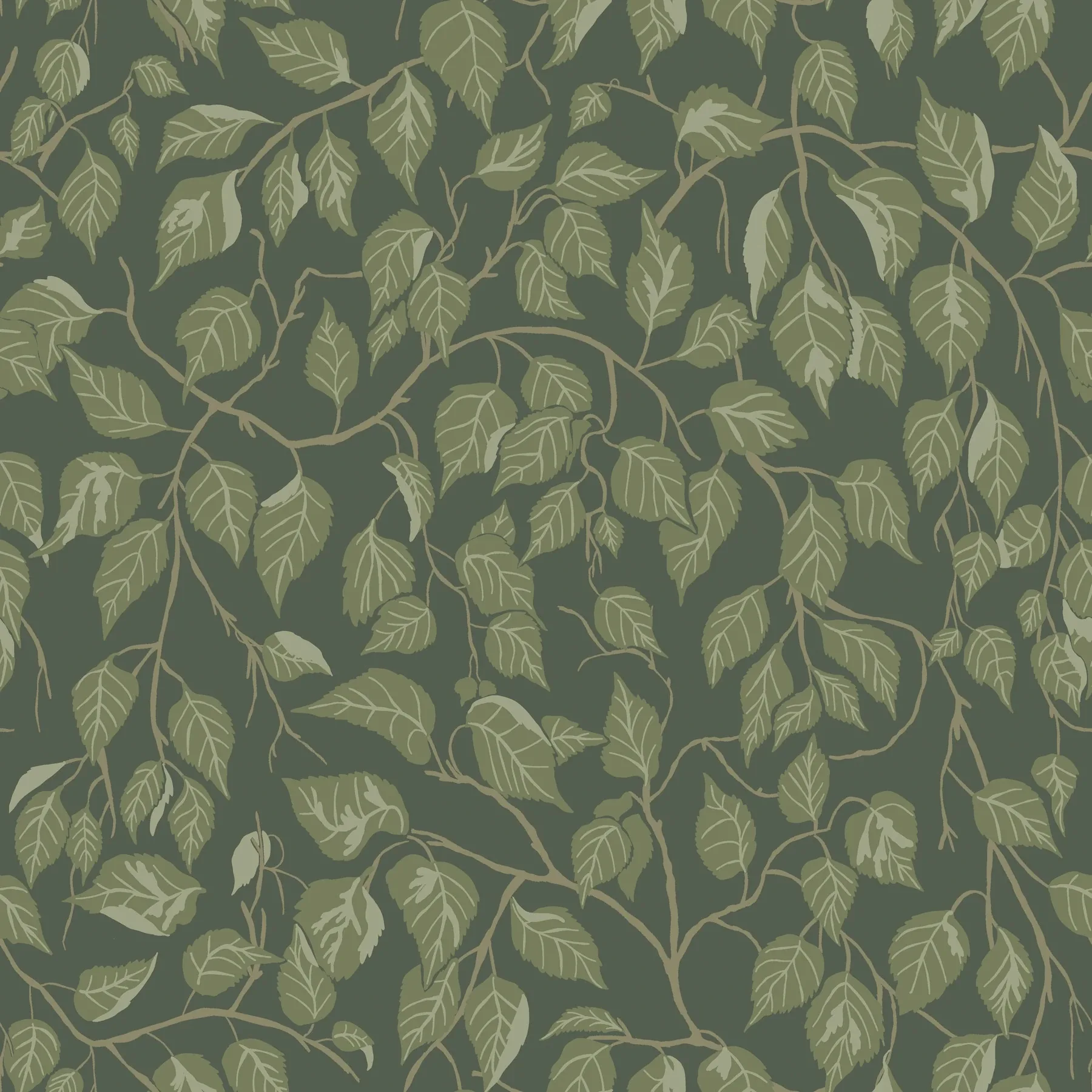 A-Street Prints Hängbjörk Evergreen Vine Wallpaper - SKU 4201-20108