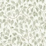 A-Street Prints Hängbjörk Sage Vine Wallpaper - SKU 4201-20107