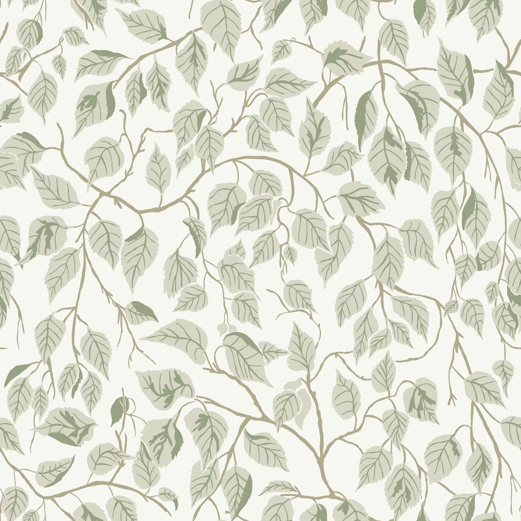 A-Street Prints Hängbjörk Sage Vine Wallpaper - SKU 4201-20107
