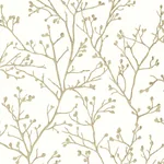 A-Street Prints Koura Cream Budding Branches Wallpaper - SKU 4019-86454