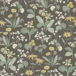 A-Street Prints Magdalena Charcoal Dandelion Wallpaper - SKU 4080-92133