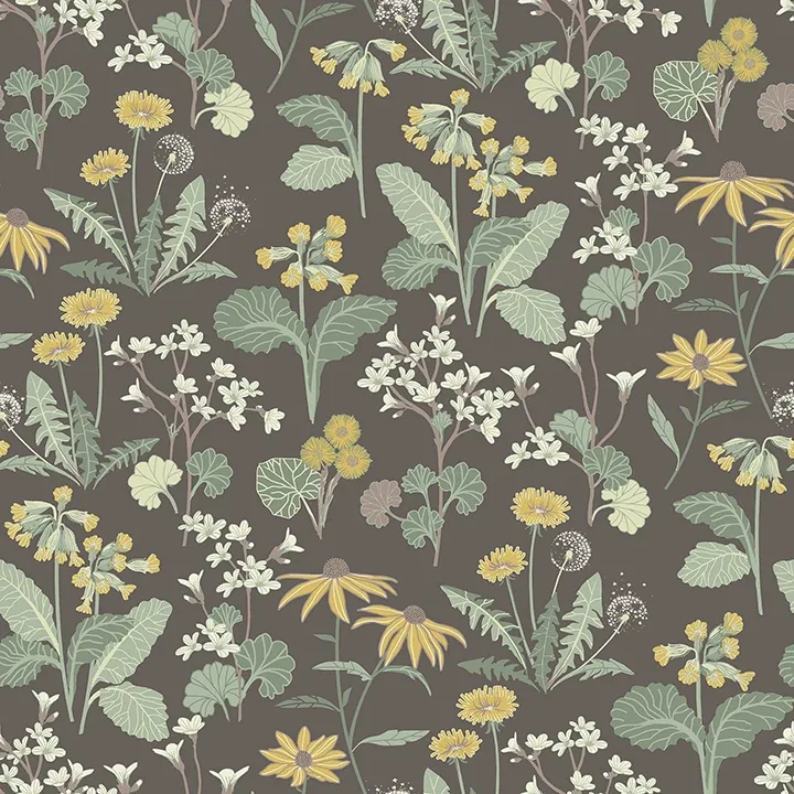 A-Street Prints Magdalena Charcoal Dandelion Wallpaper - SKU 4080-92133